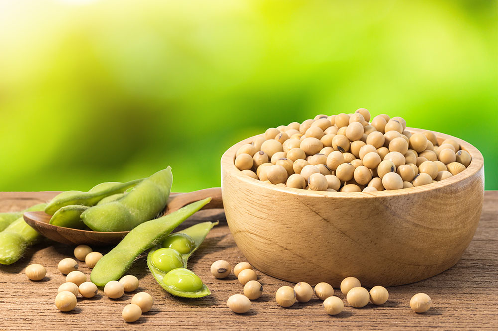 5 Natural Remedies for Osteoporosis