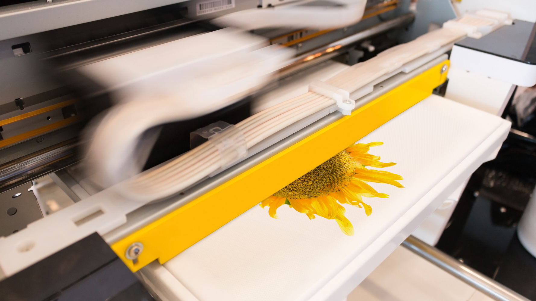 Save Time And Money With Smart T-Shirt Printing Techniques